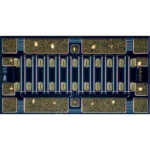 CGH60030D-GP4