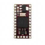 SS1-IC SS1-IC