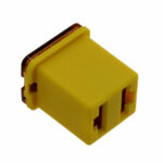 0895060.U 0895060.U