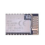BW16 WITH IPEX BASE-2MB