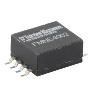 FMNS4002