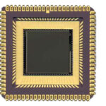NOIS1SM0250S-HHC NOIS1SM0250S-HHC