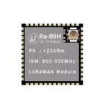 RA-09H-915