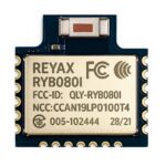 RYB080I