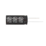 RZW101M1HBK-0811S RZW101M1HBK-0811S