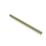 BBL-125-T-E